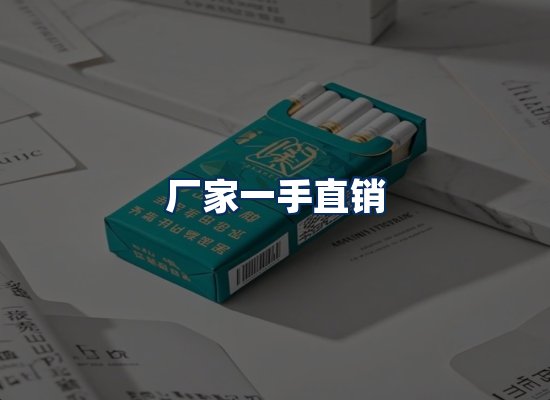 专业团队办公环境
